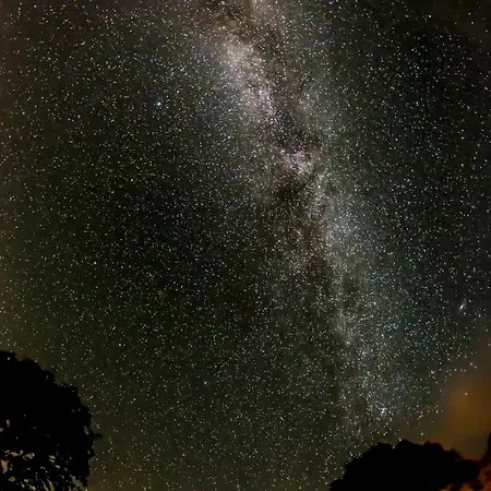 Dark Sky * Borre